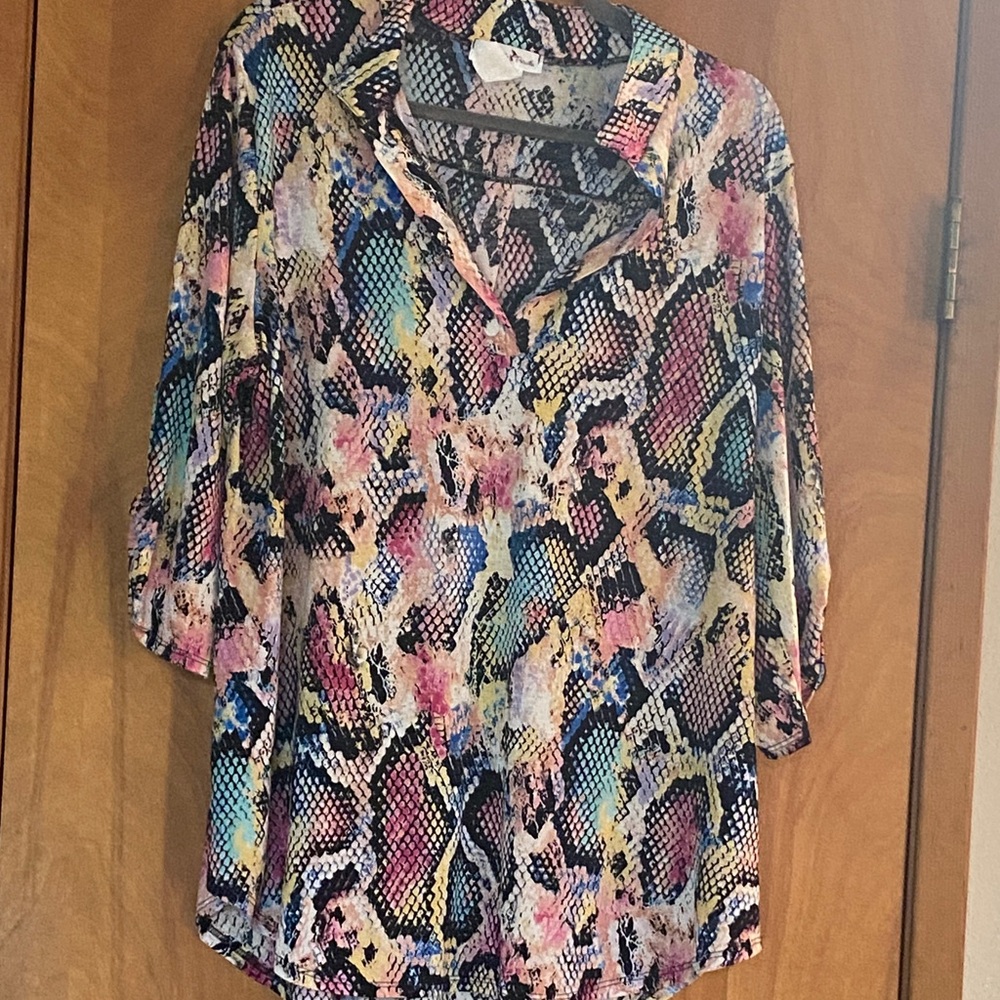 Women’s Multi-Color Snake Print V-Neck Tunic Top
